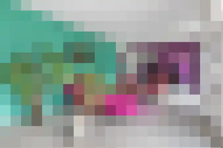 Kamperfoeliewal 26 Emmen thumbnail 17