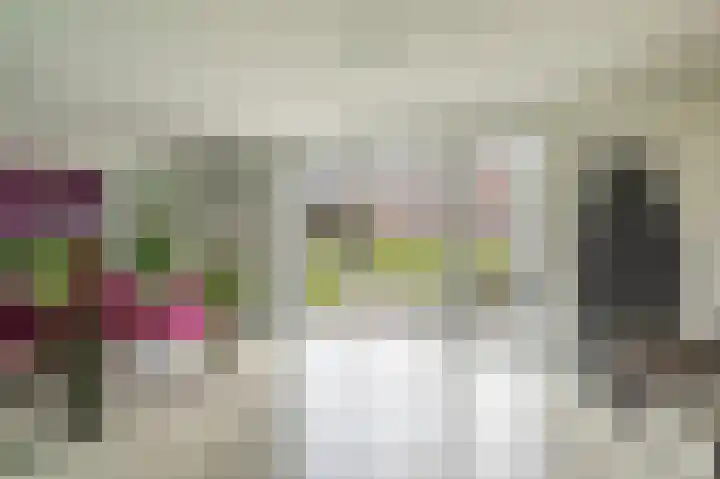 Kamperfoeliewal 26 Emmen thumbnail 21