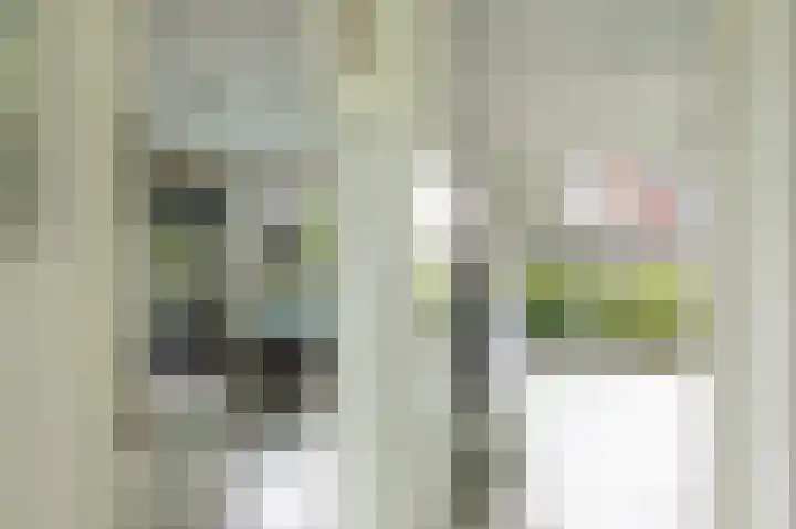 Kamperfoeliewal 26 Emmen thumbnail 30