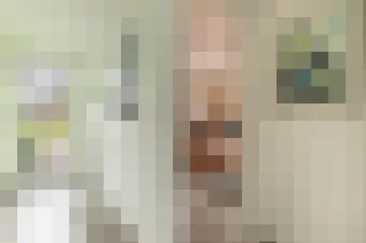 Kamperfoeliewal 26 Emmen thumbnail 31