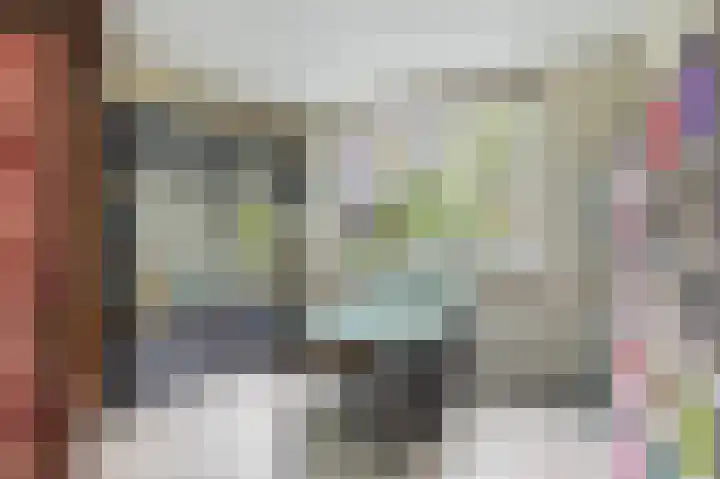 Kamperfoeliewal 26 Emmen thumbnail 34