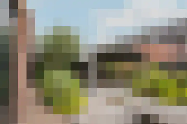 Kamperfoeliewal 26 Emmen thumbnail 36