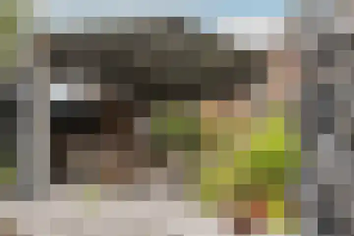 Kamperfoeliewal 26 Emmen thumbnail 37