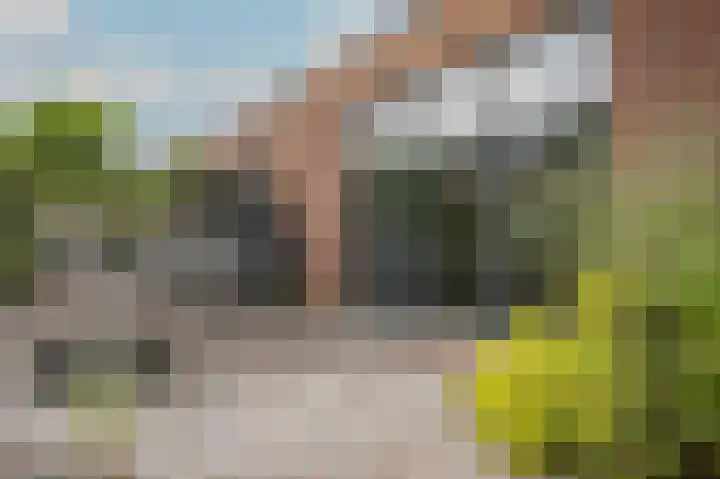 Kamperfoeliewal 26 Emmen thumbnail 38