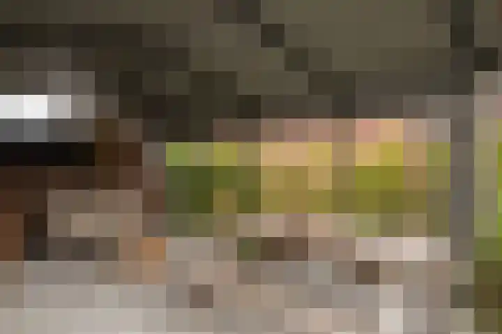 Kamperfoeliewal 26 Emmen thumbnail 39