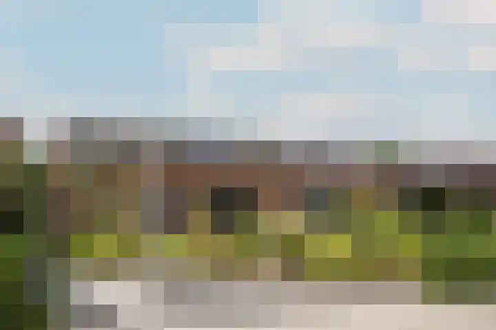 Kamperfoeliewal 26 Emmen thumbnail 4