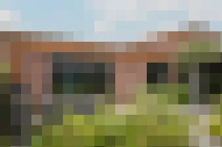 Kamperfoeliewal 26 Emmen thumbnail 40