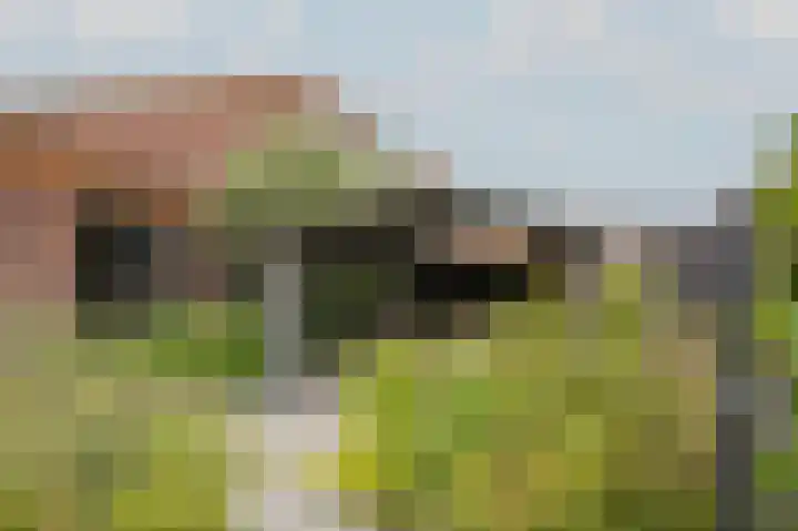 Kamperfoeliewal 26 Emmen thumbnail 41