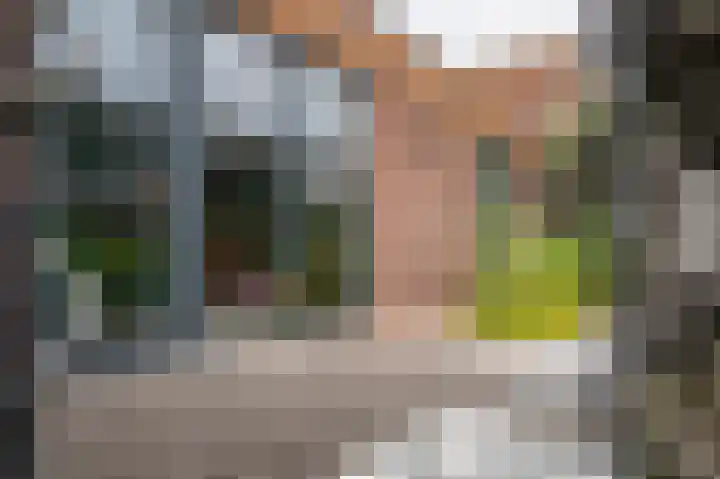 Kamperfoeliewal 26 Emmen thumbnail 42