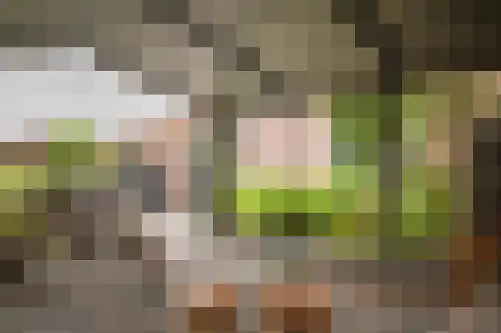 Kamperfoeliewal 26 Emmen thumbnail 44