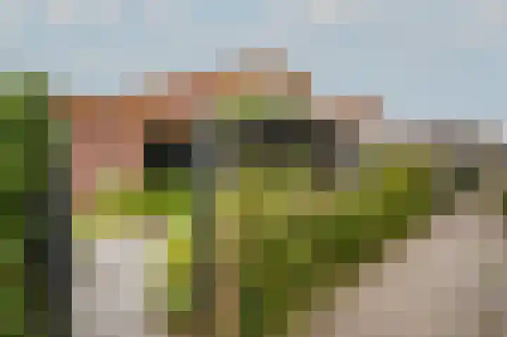 Kamperfoeliewal 26 Emmen thumbnail 46