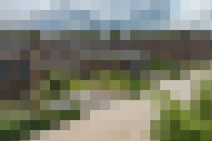 Kamperfoeliewal 26 Emmen thumbnail 47