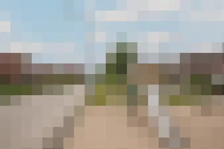 Kamperfoeliewal 26 Emmen thumbnail 49