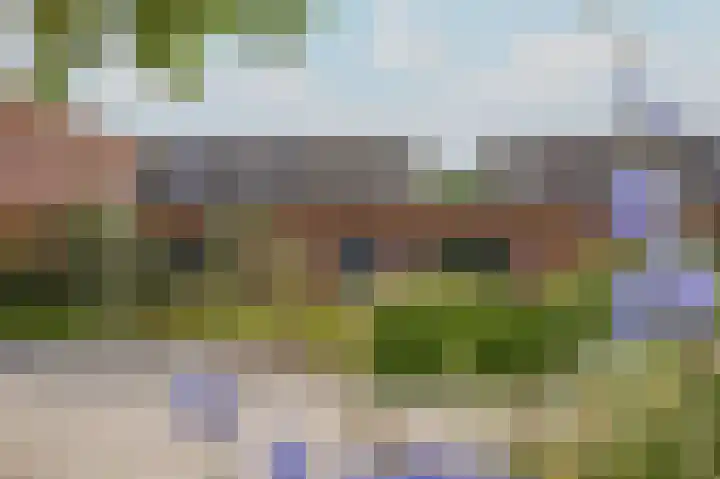 Kamperfoeliewal 26 Emmen thumbnail 6