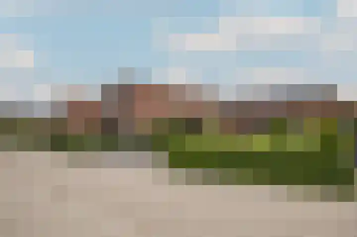 Kamperfoeliewal 26 Emmen thumbnail 7