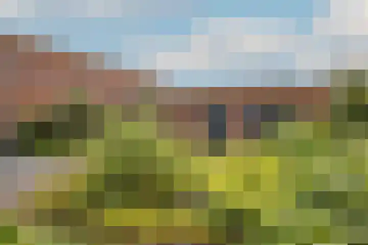 Kamperfoeliewal 26 Emmen thumbnail 8