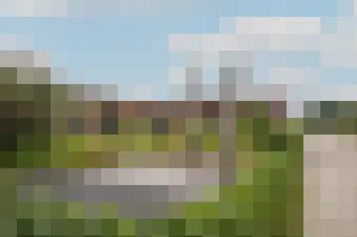 Kamperfoeliewal 26 Emmen thumbnail 9