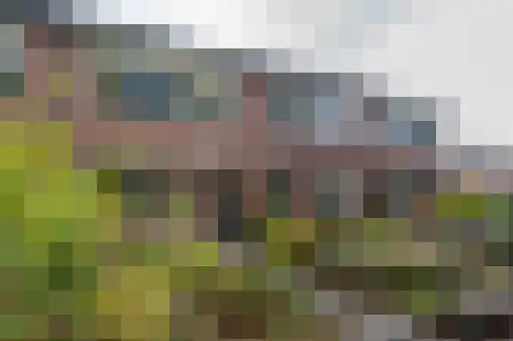 Kamperfoelieweg 10 Haren Gn thumbnail 11
