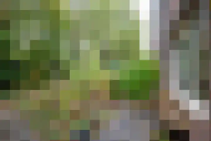 Kamperfoelieweg 10 Haren Gn thumbnail 12