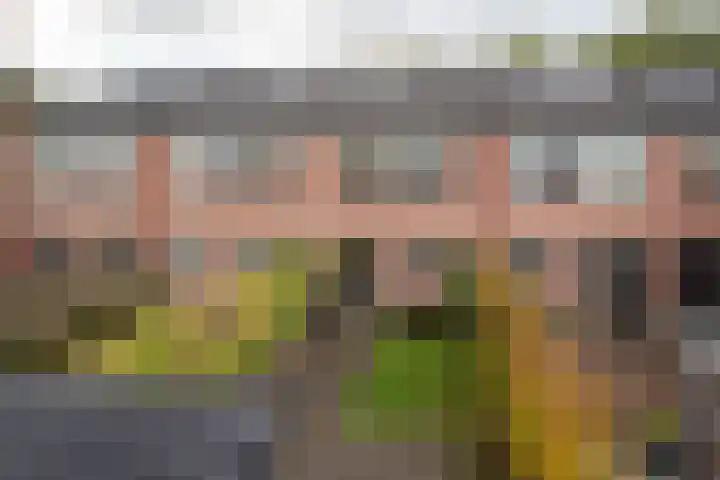 Kamperfoelieweg 10 Haren Gn thumbnail 36