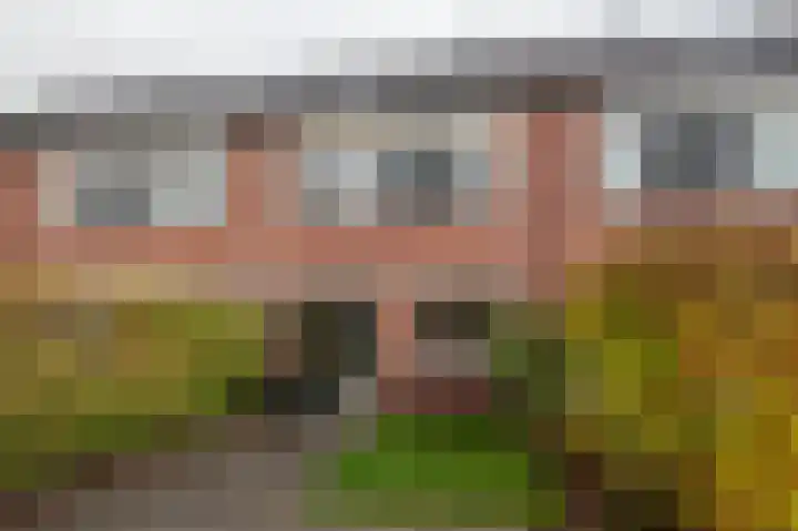 Kamperfoelieweg 10 Haren Gn thumbnail 38
