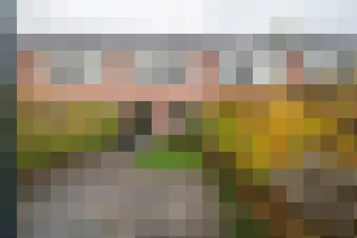 Kamperfoelieweg 10 Haren Gn thumbnail 39