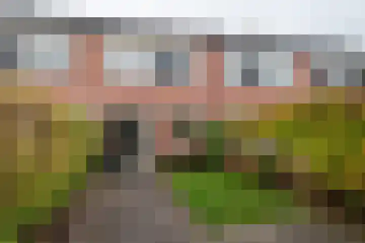 Kamperfoelieweg 10 Haren Gn thumbnail 40