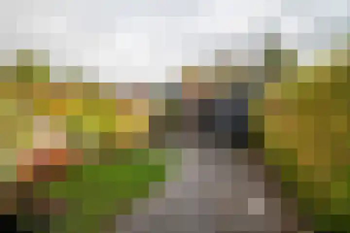 Kamperfoelieweg 10 Haren Gn thumbnail 41