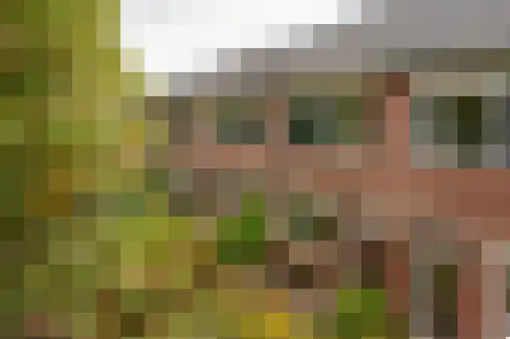 Kamperfoelieweg 10 Haren Gn thumbnail 6