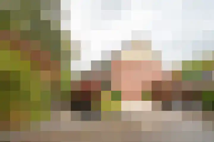 Kamperfoelieweg 10 Haren Gn thumbnail 8