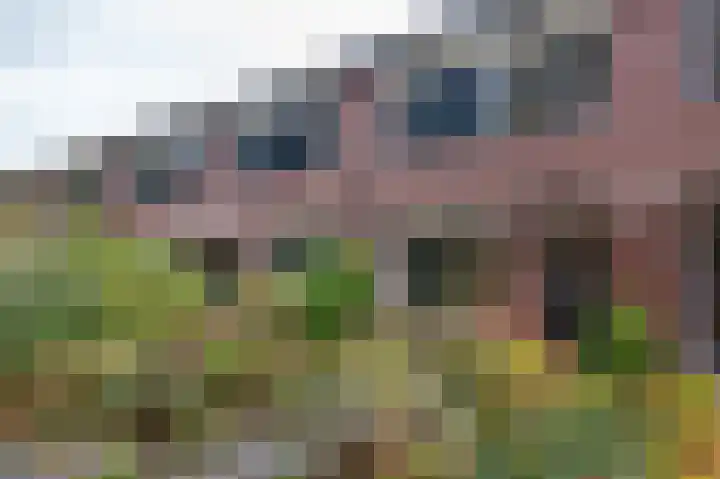 Kamperfoelieweg 10 Haren Gn thumbnail 9