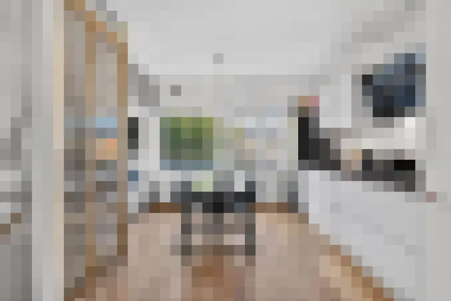 Kamperfoelieweg 120 Amsterdam thumbnail 10