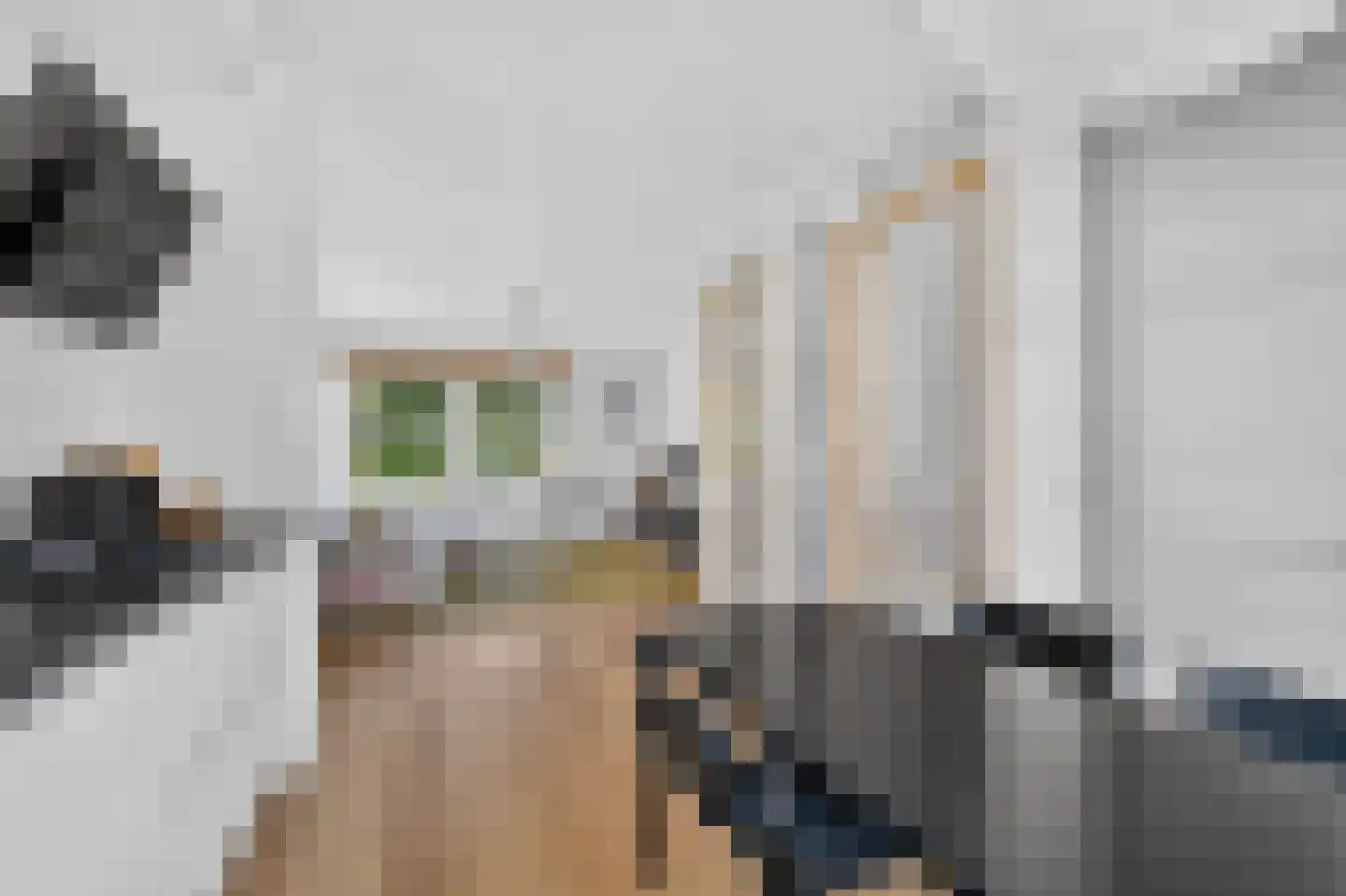 Kamperfoelieweg 120 Amsterdam thumbnail 14