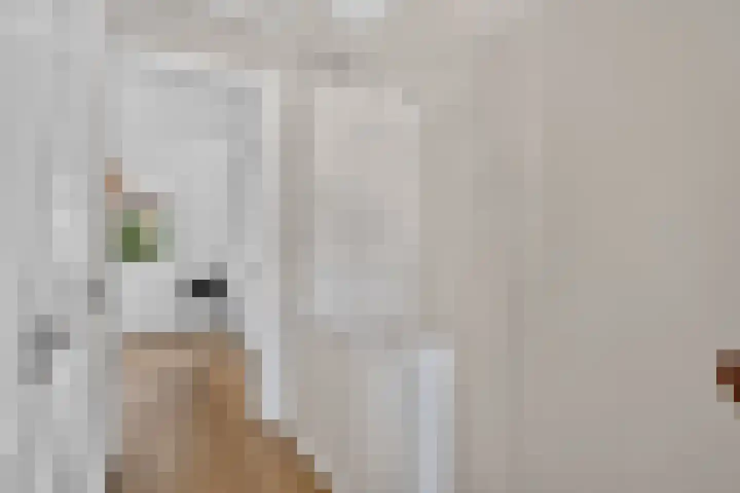 Kamperfoelieweg 120 Amsterdam thumbnail 22
