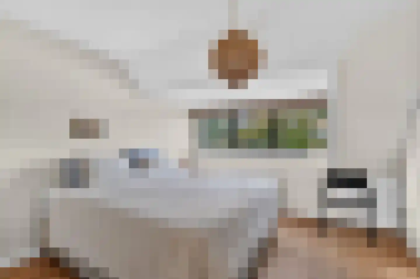 Kamperfoelieweg 120 Amsterdam thumbnail 23
