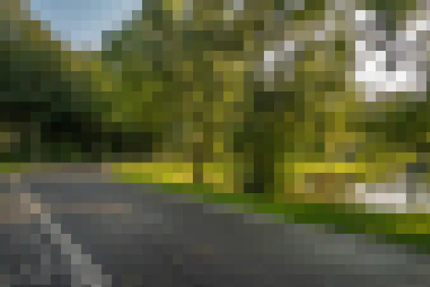 Kamperfoelieweg 120 Amsterdam thumbnail 37
