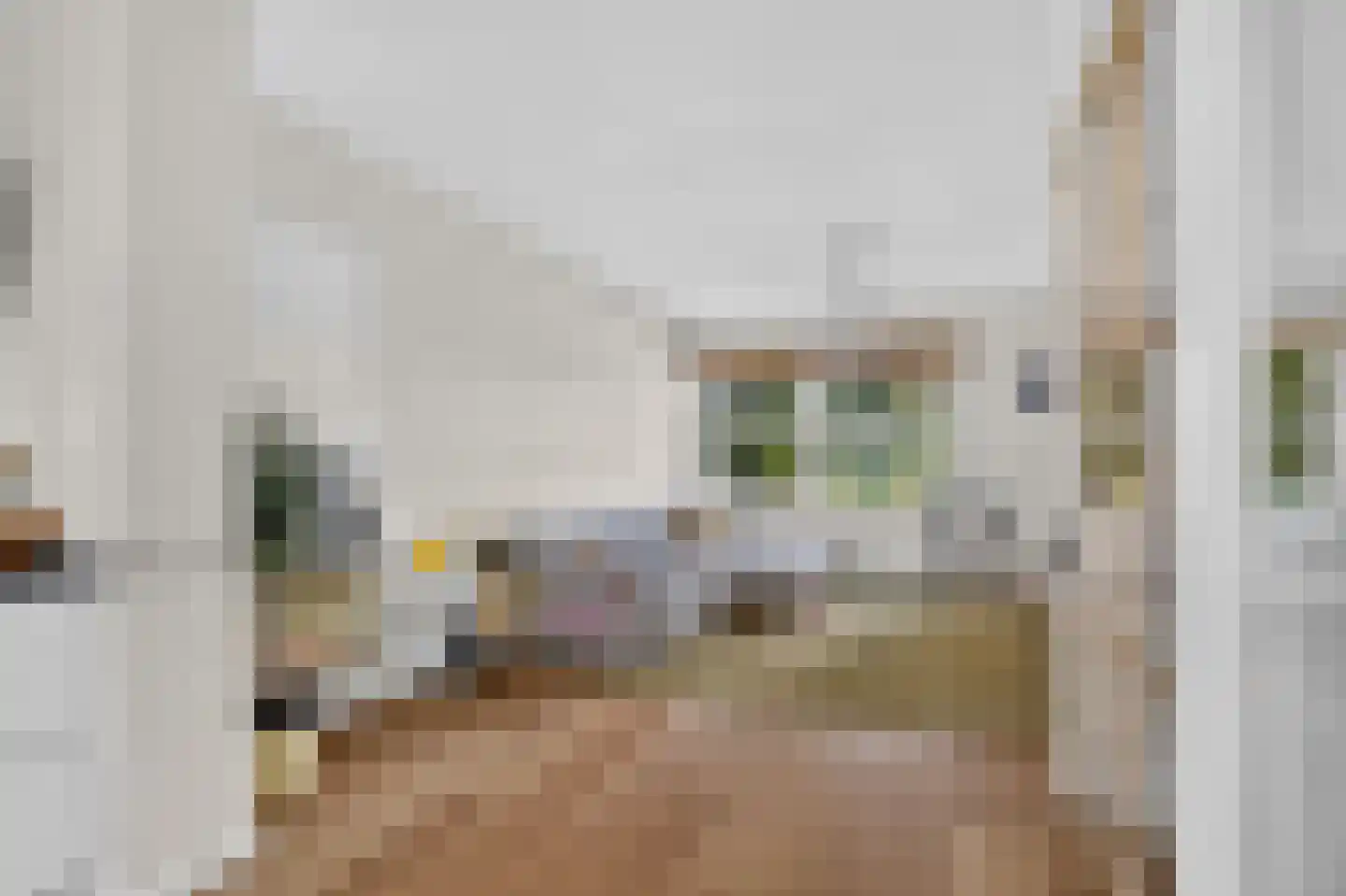 Kamperfoelieweg 120 Amsterdam thumbnail 8