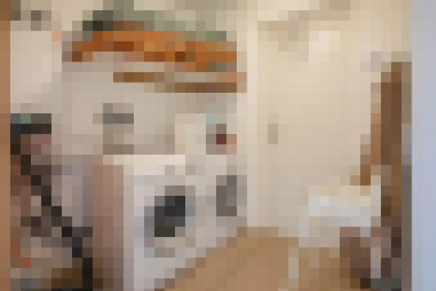 Kamperfoelieweg 69 De Koog thumbnail 18
