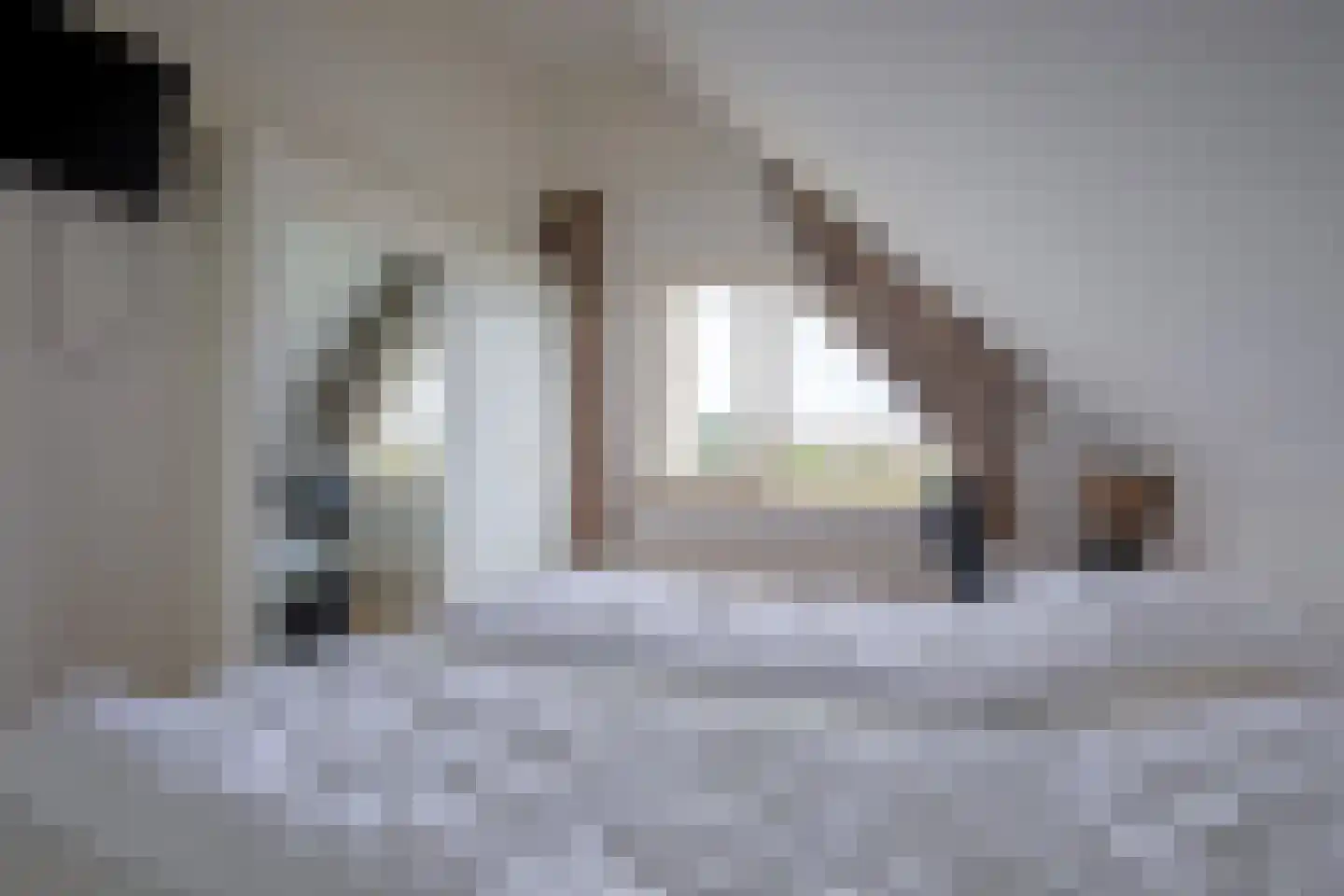 Kamperfoelieweg 69 De Koog thumbnail 20
