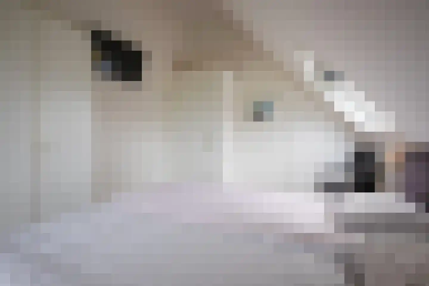 Kamperfoelieweg 69 De Koog thumbnail 24