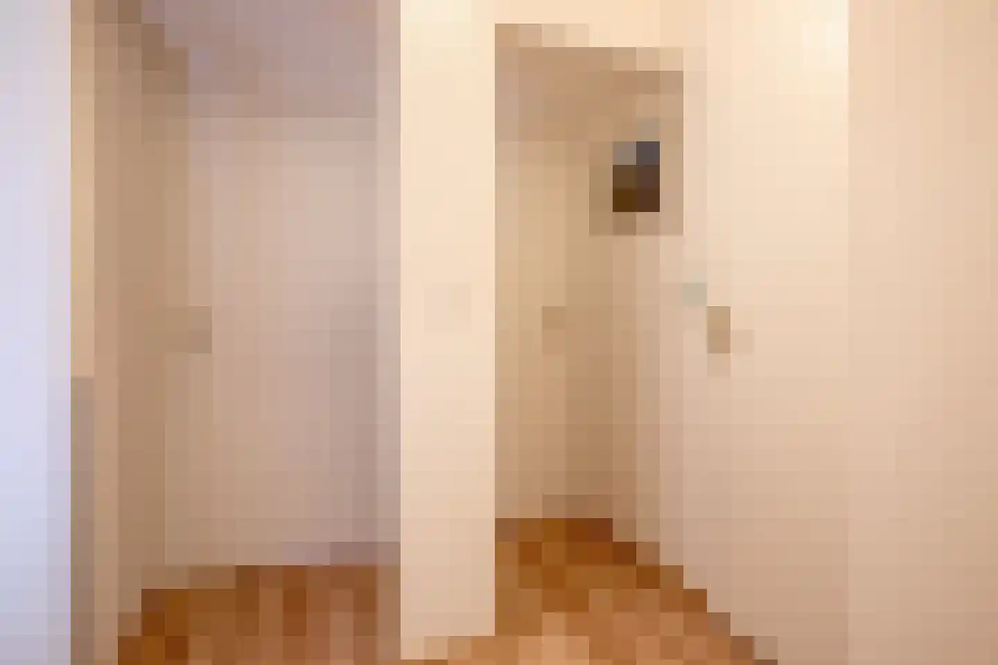Kamperfoelieweg 69 De Koog thumbnail 30