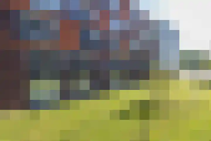 Kamperlaan 102 Haarlem thumbnail 15