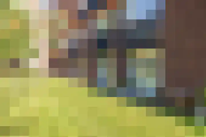 Kamperlaan 102 Haarlem thumbnail 16