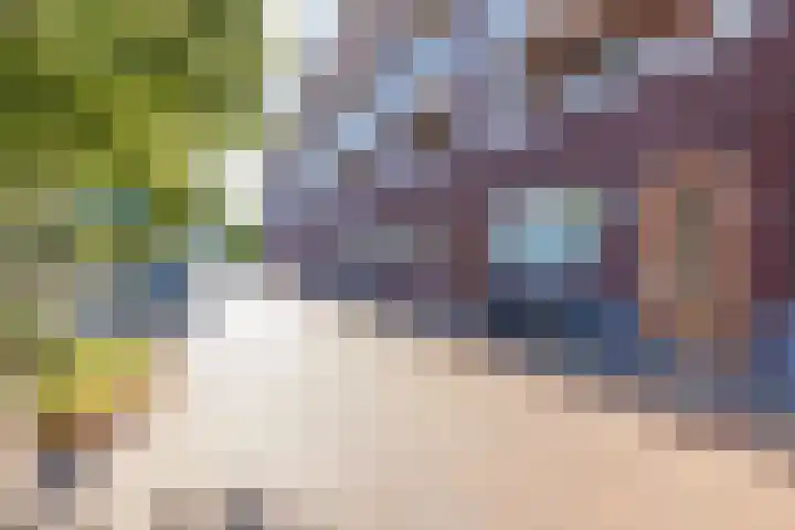 Kamperlaan 102 Haarlem thumbnail 31