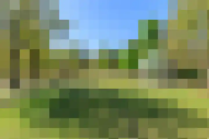 Kamperlaan 102 Haarlem thumbnail 35