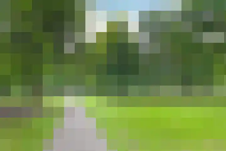 Kamperlaan 102 Haarlem thumbnail 36