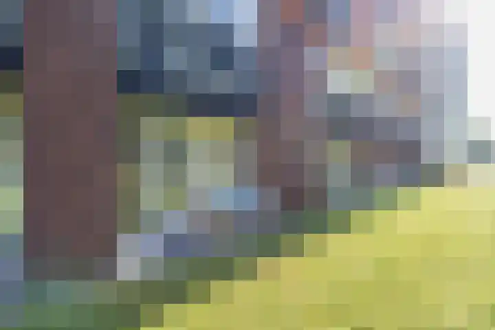 Kamperlaan 102 Haarlem thumbnail 41