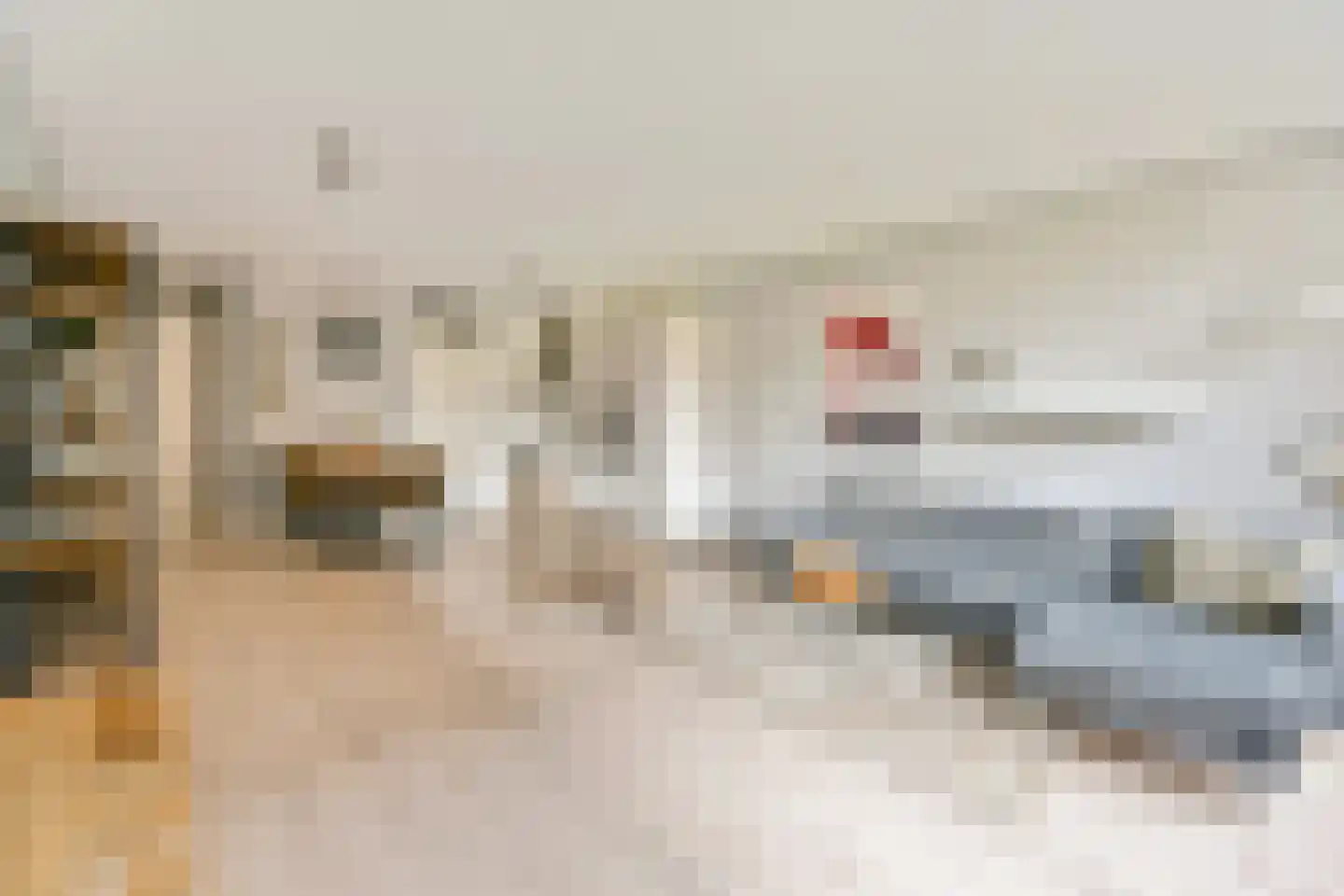 Kamperlaan 118 Haarlem thumbnail 8