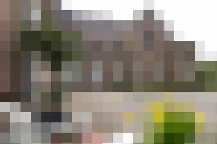 Kamperlaan 12 Haarlem thumbnail 10