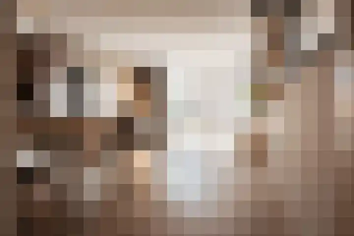 Kamperlaan 120 Haarlem thumbnail 11